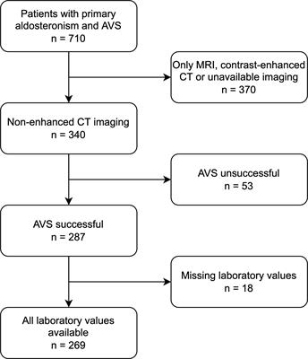 Integration of clinical parameters and CT-based radiomics improves machine learning assisted subtyping of primary hyperaldosteronism